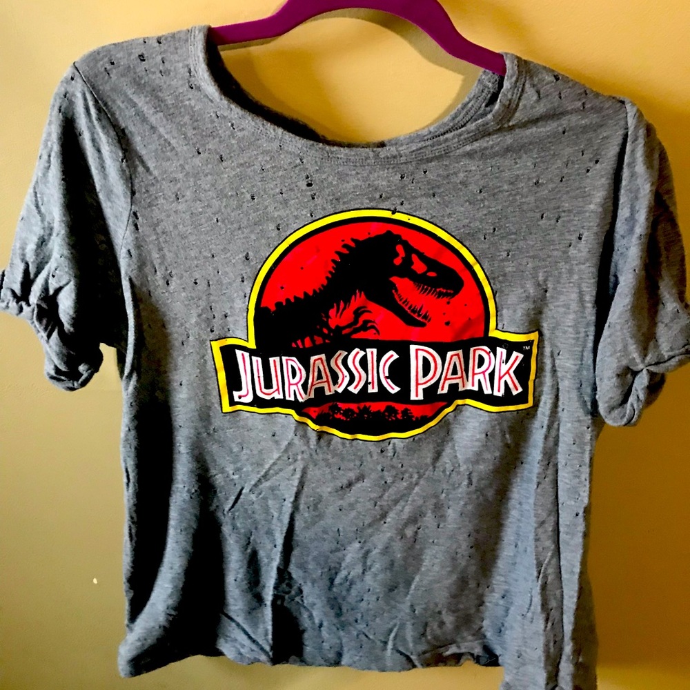 PLUS SIZE Jurassic Park tee from TORRID size 0X